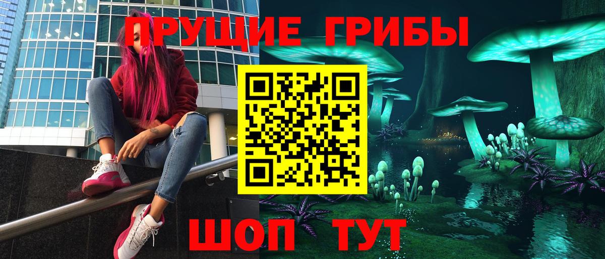 Галлюциногенные грибы GOLDEN TEACHER  Галлюциногенные грибы Psilocybe  Всеволожск  Вход с VPN 